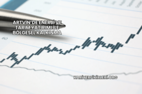 Artvin’de Enerji ve Tarım Yatırımı İle Bölgesel Kalkınma