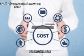 EYT'nin Türkiye'ye Maliyeti Ne Kadar 2025