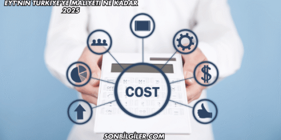 EYT'nin Türkiye'ye Maliyeti Ne Kadar 2025