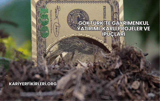 Göktürk’te Gayrimenkul Yatırımı: Karlı Projeler ve İpuçları