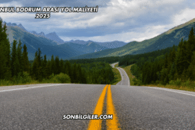 İstanbul Bodrum Arası Yol Maliyeti 2025