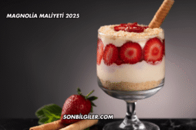 Magnolia Maliyeti 2025