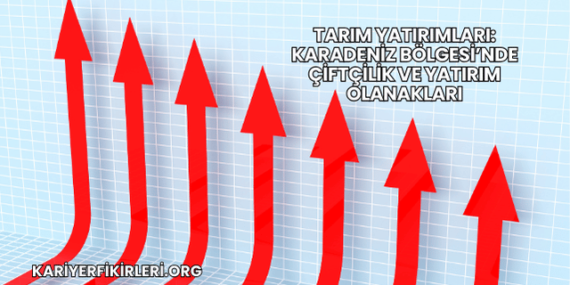 Tarım Yatırımları: Karadeniz Bölgesi’nde Çiftçilik ve Yatırım Olanakları