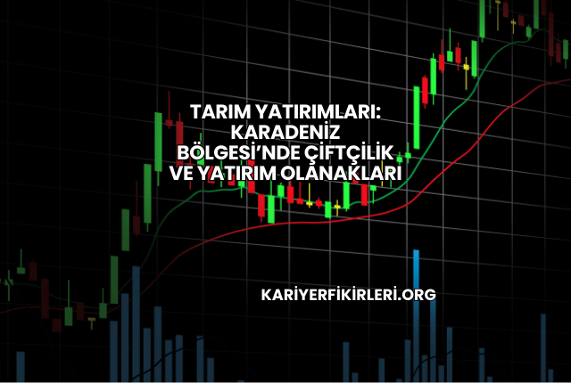 Tarım Yatırımları: Karadeniz Bölgesi’nde Çiftçilik ve Yatırım Olanakları