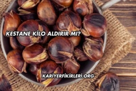 Kestane Kilo Aldırır mı?